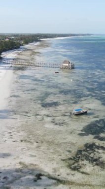 Tanzanya - Zanzibar kıyıları yakınlarındaki okyanusta alçak gelgitin dikey videosu, yavaş çekim