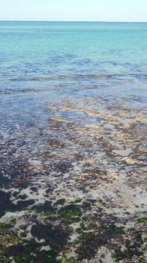 Tanzanya - Zanzibar kıyıları yakınlarındaki okyanusta alçak gelgitin dikey videosu, yavaş çekim
