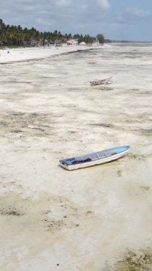 Tanzanya - Zanzibar kıyıları yakınlarındaki okyanusta alçak gelgitin dikey videosu, yavaş çekim