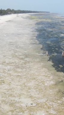 Tanzanya - Zanzibar kıyıları yakınlarındaki okyanusta alçak gelgitin dikey videosu, yavaş çekim