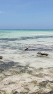 Tanzanya - Zanzibar kıyıları yakınlarındaki okyanusta alçak gelgitin dikey videosu, yavaş çekim