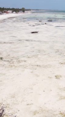 Tanzanya - Zanzibar kıyıları yakınlarındaki okyanusta alçak gelgitin dikey videosu, yavaş çekim