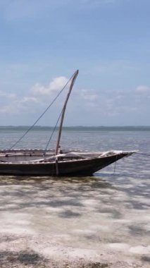 Tanzanya - Zanzibar kıyıları yakınlarındaki okyanusta alçak gelgitin dikey videosu, yavaş çekim