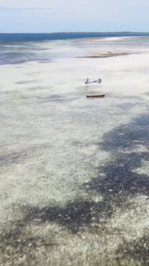 Tanzanya - Zanzibar kıyıları yakınlarındaki okyanusta alçak gelgitin dikey videosu, yavaş çekim