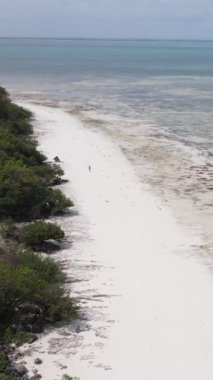 Tanzanya - Zanzibar kıyıları yakınlarındaki okyanusta alçak gelgitin dikey videosu, yavaş çekim