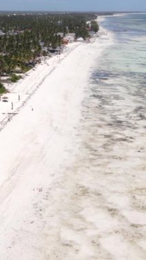 Tanzanya - Zanzibar kıyıları yakınlarındaki okyanusta alçak gelgitin dikey videosu, yavaş çekim