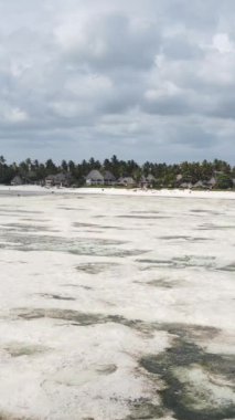 Tanzanya - Zanzibar kıyıları yakınlarındaki okyanusta alçak gelgitin dikey videosu, yavaş çekim