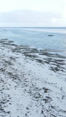 Tanzanya - Zanzibar kıyıları yakınlarındaki okyanusta alçak gelgitin dikey videosu, yavaş çekim
