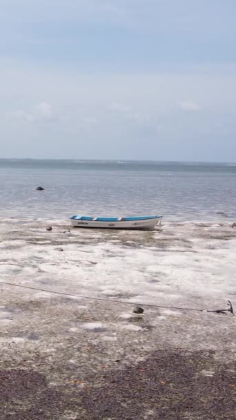 Танзанія - вертикальне відео припливу в океані біля узбережжя Занзібару, сповільнення руху — стокове відео