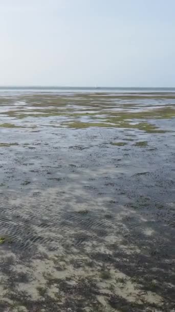 Τανζανία - κάθετο βίντεο της χαμηλής παλίρροιας στον ωκεανό κοντά στην ακτή της Ζανζιβάρης, αργή κίνηση — Αρχείο Βίντεο
