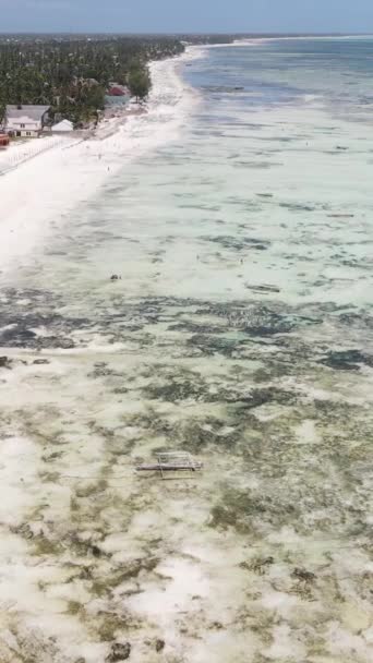 Tanzania - verticale video van laagwater in de oceaan bij de kust van Zanzibar, slow motion — Stockvideo