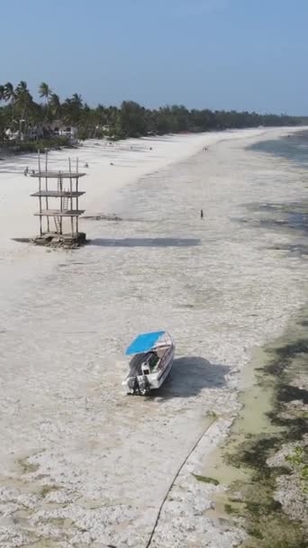 Tanzania - vertical video of low tide in the ocean near the coast of Zanzibar, slow motion — 图库视频影像