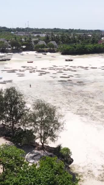 Tanzania - vertical video of low tide in the ocean near the coast of Zanzibar, slow motion — 图库视频影像