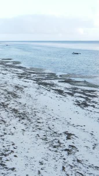 Tanzanie - vidéo verticale de marée basse dans l'océan près de la côte de Zanzibar, ralenti — Video
