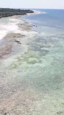 Tanzanya - Zanzibar kıyıları yakınlarındaki okyanusta alçak gelgitin dikey videosu, yavaş çekim