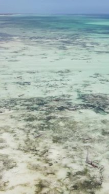 Tanzanya - Zanzibar kıyıları yakınlarındaki okyanusta alçak gelgitin dikey videosu, yavaş çekim