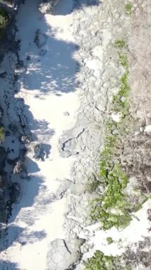 Tanzanya - Zanzibar kıyıları yakınlarındaki okyanusta alçak gelgitin dikey videosu, yavaş çekim