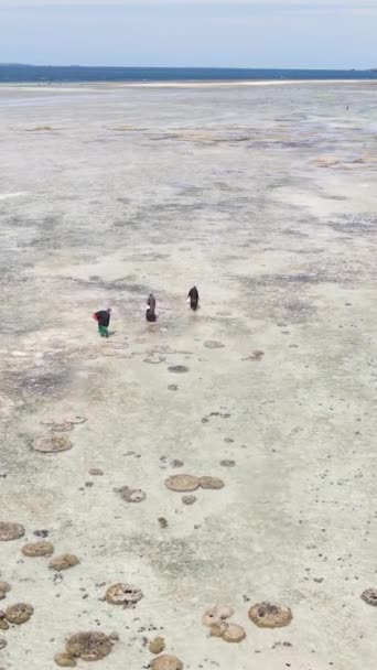 Tanzania - vertical video of low tide in the ocean near the coast of Zanzibar, slow motion — 图库视频影像