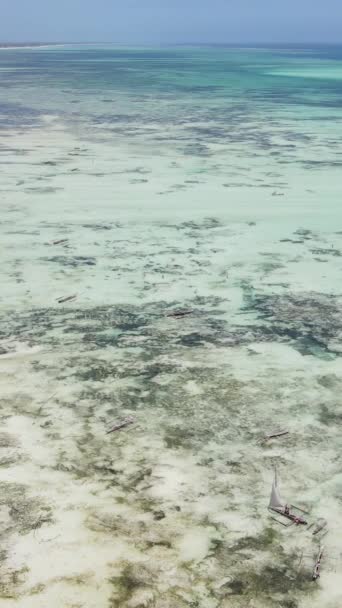 Tanzania - pionowe wideo odpływu w oceanie przy wybrzeżu Zanzibaru, zwolnione tempo — Wideo stockowe