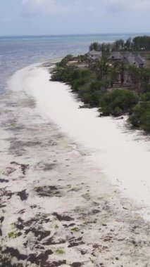 Tanzanya - Zanzibar kıyıları yakınlarındaki okyanusta alçak gelgitin dikey videosu, yavaş çekim