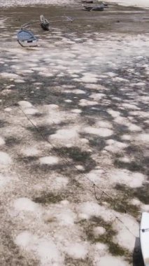 Tanzanya - Zanzibar kıyıları yakınlarındaki okyanusta alçak gelgitin dikey videosu, yavaş çekim