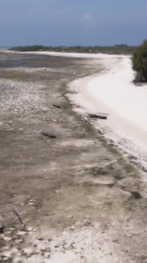Tanzanya - Zanzibar kıyıları yakınlarındaki okyanusta alçak gelgitin dikey videosu, yavaş çekim
