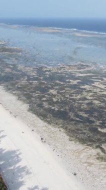 Tanzanya - Zanzibar kıyıları yakınlarındaki okyanusta alçak gelgitin dikey videosu, yavaş çekim