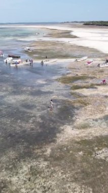 Tanzanya - Zanzibar kıyıları yakınlarındaki okyanusta alçak gelgitin dikey videosu, yavaş çekim
