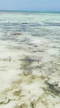 Tanzanya - Zanzibar kıyıları yakınlarındaki okyanusta alçak gelgitin dikey videosu, yavaş çekim