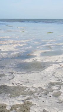 Tanzanya - Zanzibar kıyıları yakınlarındaki okyanusta alçak gelgitin dikey videosu, yavaş çekim