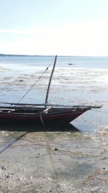 Tanzanya - Zanzibar kıyıları yakınlarındaki okyanusta alçak gelgitin dikey videosu, yavaş çekim