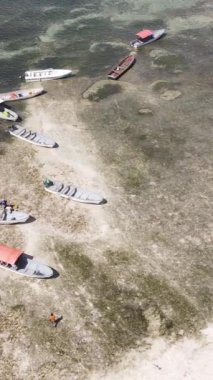 Tanzanya - Zanzibar kıyıları yakınlarındaki okyanusta alçak gelgitin dikey videosu, yavaş çekim