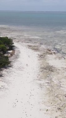 Tanzanya - Zanzibar kıyıları yakınlarındaki okyanusta alçak gelgitin dikey videosu, yavaş çekim