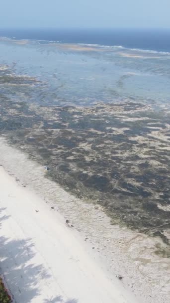 Tanzanya - Zanzibar kıyıları yakınlarındaki okyanusta alçak gelgitin dikey videosu, yavaş çekim — Stok video