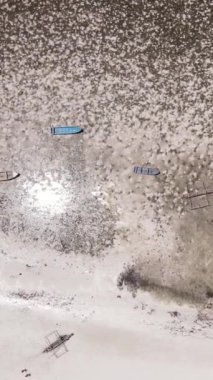 Tanzanya - Zanzibar kıyıları yakınlarındaki okyanusta alçak gelgitin dikey videosu, yavaş çekim