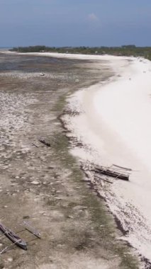 Tanzanya - Zanzibar kıyıları yakınlarındaki okyanusta alçak gelgitin dikey videosu, yavaş çekim