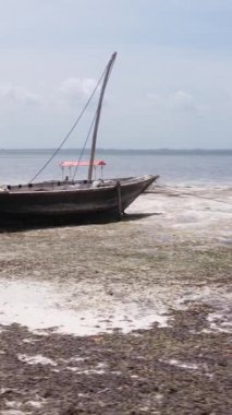 Tanzanya - Zanzibar kıyıları yakınlarındaki okyanusta alçak gelgitin dikey videosu, yavaş çekim