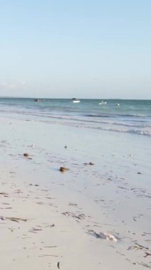 Tanzanya - Zanzibar kıyıları yakınlarındaki okyanusta alçak gelgitin dikey videosu, yavaş çekim
