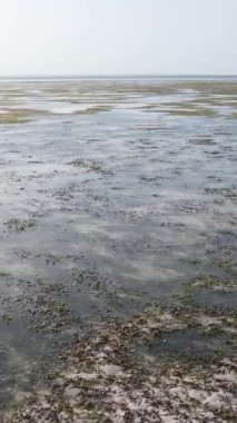 Tanzanya - Zanzibar kıyıları yakınlarındaki okyanusta alçak gelgitin dikey videosu, yavaş çekim