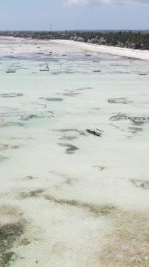 Tanzanya - Zanzibar kıyıları yakınlarındaki okyanusta alçak gelgitin dikey videosu, yavaş çekim