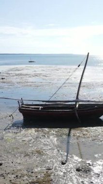 Tanzanya - Zanzibar kıyıları yakınlarındaki okyanusta alçak gelgitin dikey videosu, yavaş çekim