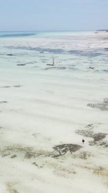 Tanzanya - Zanzibar kıyıları yakınlarındaki okyanusta alçak gelgitin dikey videosu, yavaş çekim