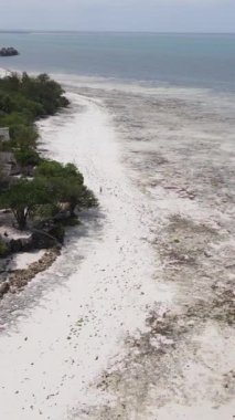 Tanzanya - Zanzibar kıyıları yakınlarındaki okyanusta alçak gelgitin dikey videosu, yavaş çekim