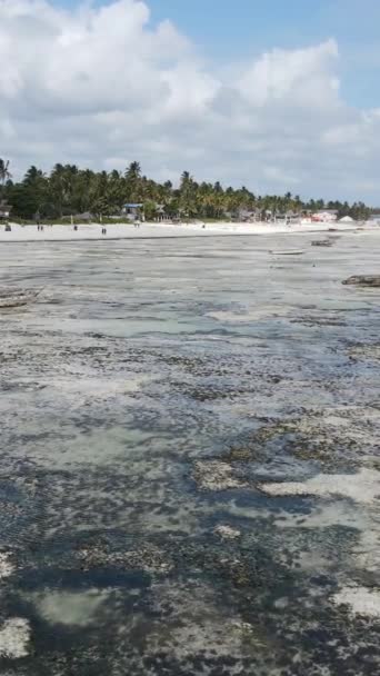Tanzania - verticale video van laagwater in de oceaan bij de kust van Zanzibar, slow motion — Stockvideo