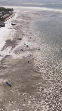 Tanzanya - Zanzibar kıyıları yakınlarındaki okyanusta alçak gelgitin dikey videosu, yavaş çekim