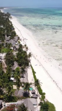 Tanzanya - Zanzibar kıyıları yakınlarındaki okyanusta alçak gelgitin dikey videosu, yavaş çekim