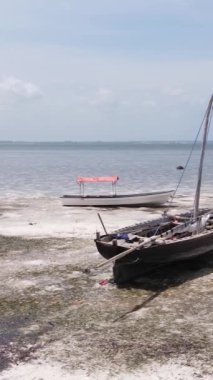 Tanzanya - Zanzibar kıyıları yakınlarındaki okyanusta alçak gelgitin dikey videosu, yavaş çekim