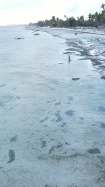 Tanzanya - Zanzibar kıyıları yakınlarındaki okyanusta alçak gelgitin dikey videosu, yavaş çekim