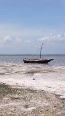 Tanzanya - Zanzibar kıyıları yakınlarındaki okyanusta alçak gelgitin dikey videosu, yavaş çekim