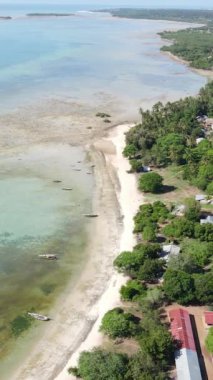 Tanzanya - Zanzibar kıyıları yakınlarındaki okyanusta alçak gelgitin dikey videosu, yavaş çekim